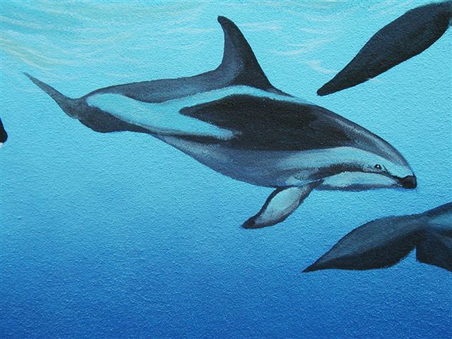 'Dolphin detail' by C. S. Bauman